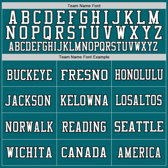 Custom Teal Black-White Mesh Authentic Football Jersey