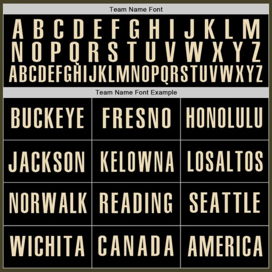 Custom Olive Vintage USA Flag Black-Cream Authentic Salute To Service Baseball Jersey